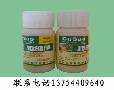 玉米粗缩病特效药粗缩净