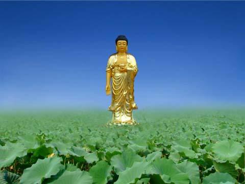 阿弥陀佛