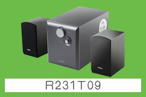 石家庄嘉城公司 漫步者R231T09