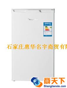 BC-99/DS容声冰箱