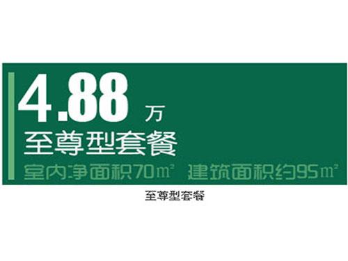 至尊型套餐_精诚装饰