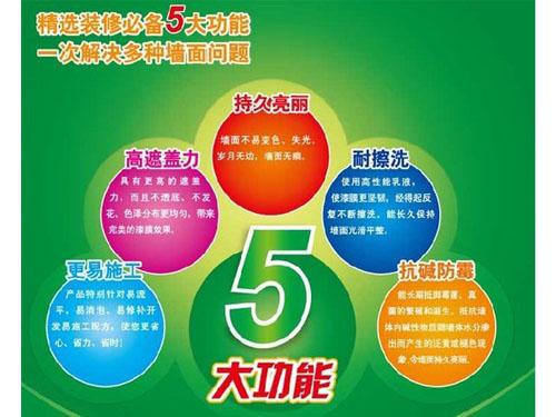 立邦净味五合一